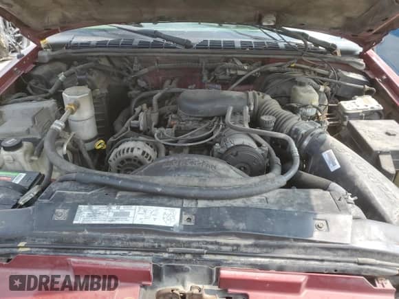 2002 Chevrolet Blazer LS z VIN 1GNDT13W42K185991, wystawiony jako Copart lot #70605164 z przebiegiem 208 342 mil mil oraz Szkoda całkowita • Salvage title. Historia ofert i sprzedaży dostępna na DreamBid. Obrazek 12.