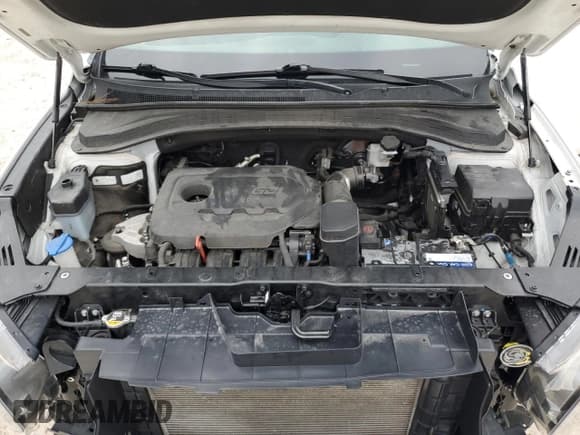 ✅ 2020 Hyundai Santa Fe SEL • VIN: 5NMS3CAD7LH250665 • Lot: 62637104. Wystawiony na Copart z przebiegiem 44 848 mil. Bezpłatny archiwum sprzedaży aukcyjnych z USA i szczegółowy raport historii pojazdu na DreamBid. Zdjęcie 12.