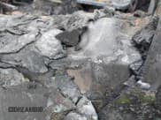 ✅ 2021 Dodge Durango GT Plus • VIN: 1C4RDHDG4MC660984 • Лот: 41921963. Опубликован ранее на IAAI с пробегом Не указан. Бесплатный доступ к архиву аукционных продаж из США и подробный отчёт об истории автомобиля на DreamBid. Изображение 9.