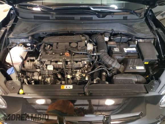 ✅ 2022 Hyundai Kona N Line • VIN: KM8K3CA36NU855596 • Lot: 63044143. Wystawiony na Copart z przebiegiem 1 368 mil mil. Skorzystaj z bezpłatnego archiwum sprzedaży aukcyjnych z USA i zobacz szczegółowy raport historii pojazdu na DreamBid. Zdjęcie 12.