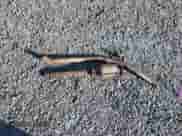 2010 Hyundai Accent GL z VIN KMHCN4BC3AU467108, wystawiony jako Copart lot #81237345 z przebiegiem 143 596 mil mil oraz Czysty tytuł • Clean title. Historia ofert i sprzedaży dostępna na DreamBid. Obrazek 12.