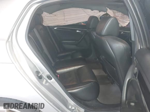 ✅ 2006 Acura TL • VIN: 19UUA65536A047596 • Lot: 41971711. Listed on IAAI with 204,328 mi. Free auction sales archive from the USA and detailed vehicle history report at DreamBid. Image 8.