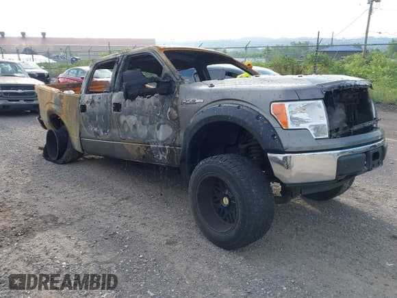✅ 2009 Ford F-150 XL • VIN: 1FTRW14899FB19199 • Lot: 42623427. Listed on IAAI with Not provided. Free auction sales archive from the USA and detailed vehicle history report at DreamBid. Image 1.