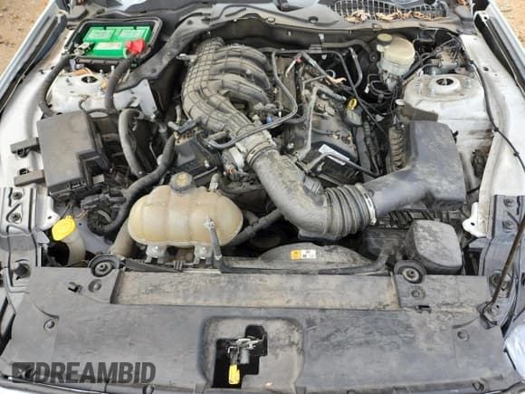 ✅ 2016 Ford Mustang V6 • VIN: 1FA6P8AM7G5232247 • Lot: 83883265. Listed on Copart with Not provided. Free auction sales archive from the USA and detailed vehicle history report at DreamBid. Image 11.