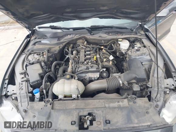 ✅ 2021 Ford Mustang EcoBoost • VIN: 1FA6P8TH9M5157062 • Lot: 42377957. Listed on IAAI with 25,997 mi. Free auction sales archive from the USA and detailed vehicle history report at DreamBid. Image 10.