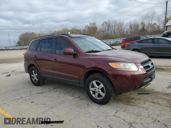 ✅ 2008 Hyundai Santa Fe GLS • VIN: 5NMSG13D28H180196 • Lot: 80525734. Listed on Copart with 216,492 mi. Free auction sales archive from the USA and detailed vehicle history report at DreamBid. Image 4.