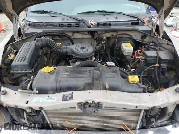 ✅ 2000 Dodge Dakota Sport • VIN: 1B7HG2AZ2YS754928 • Lot: 85998034. Wystawiony na Copart z przebiegiem 272 362 mil. Bezpłatny archiwum sprzedaży aukcyjnych z USA i szczegółowy raport historii pojazdu na DreamBid. Zdjęcie 11.