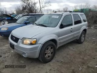 ✅ 2007 Ford Escape Limited • VIN: 1FMCU041X7KA29911 • Lot: 46101755. Listed on Copart with 252,539 mi. Free auction sales archive from the USA and detailed vehicle history report at DreamBid. Image 1.