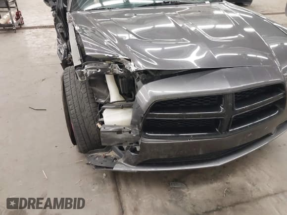 ✅ 2014 Dodge Charger RT Max • VIN: 2C3CDXDT8EH244601 • Lot: 43543661. Listed on IAAI with 91,300 mi. Free auction sales archive from the USA and detailed vehicle history report at DreamBid. Image 6.