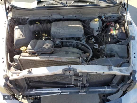 2002 Dodge 1500 z VIN 1D7HA18N32S609117, wystawiony jako Copart lot #69527594 z przebiegiem 259 556 mil mil oraz Szkoda całkowita • Salvage title. Historia ofert i sprzedaży dostępna na DreamBid. Obrazek 11.