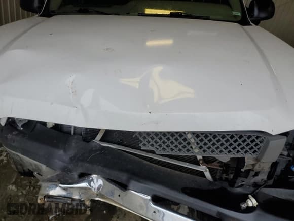 ✅ 2003 Chevrolet Silverado 1500 LS • VIN: 1GCEK14T23Z317255 • Lot: 48328865. Listed on Copart with Not provided. Free auction sales archive from the USA and detailed vehicle history report at DreamBid. Image 11.