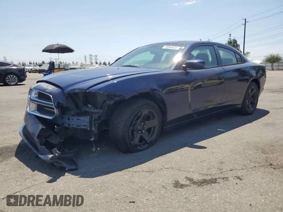 2014 Dodge Charger Police with VIN 2C3CDXAG6EH256477, listed as a Copart auction lot 70049455 with 145,317 mi miles and Salvage title. Bid and sale history available at DreamBid. Image 1.