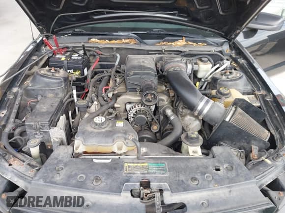 ✅ 2007 Ford Mustang GT Deluxe • VIN: 1ZVHT82H375278641 • Lot: 43571420. Listed on IAAI with 139,690 mi. Free auction sales archive from the USA and detailed vehicle history report at DreamBid. Image 10.