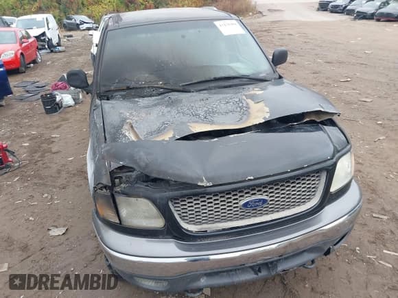 ✅ 2002 Ford F-150 XL • VIN: 2FTRX18L12CA64504 • Lot: 43470304. Wystawiony na IAAI z przebiegiem Nie podano. Bezpłatny archiwum sprzedaży aukcyjnych z USA i szczegółowy raport historii pojazdu na DreamBid. Zdjęcie 6.