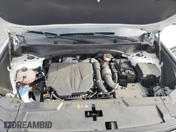 2024 Hyundai Santa Fe SEL с VIN 5NMP2DGL5RH007670, выставлен на аукционе Copart как лот 41876925 с пробегом 16 532 миль миль и Списание • Salvage title. История ставок и продаж доступна на DreamBid. Изображение 13.