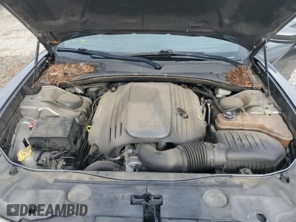 ✅ 2012 Dodge Charger Road/Track • VIN: 2C3CDXCT3CH208930 • Lot: 55229115. Listed on Copart with 166,261 mi. Free auction sales archive from the USA and detailed vehicle history report at DreamBid. Image 11.