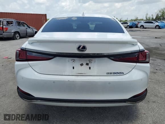 ✅ 2022 Lexus ES 300h F Sport • VIN: 58AGA1C15NU024210 • Lot: 60349895. Listed on Copart with 134,663 mi. Free auction sales archive from the USA and detailed vehicle history report at DreamBid. Image 6.