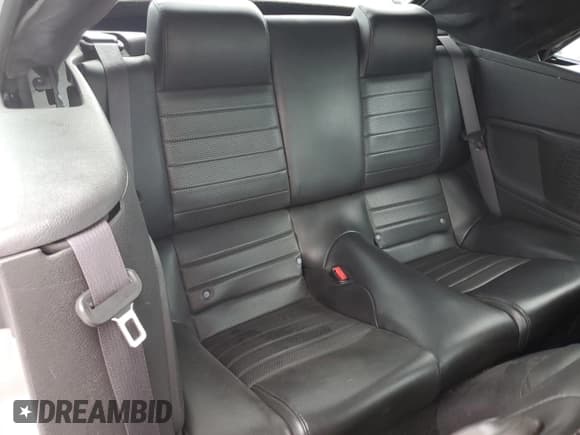 ✅ 2007 Ford Mustang GT Deluxe • VIN: 1ZVHT85H275317196 • Lot: 65125284. Listed on Copart with 68,240 mi. Free auction sales archive from the USA and detailed vehicle history report at DreamBid. Image 10.