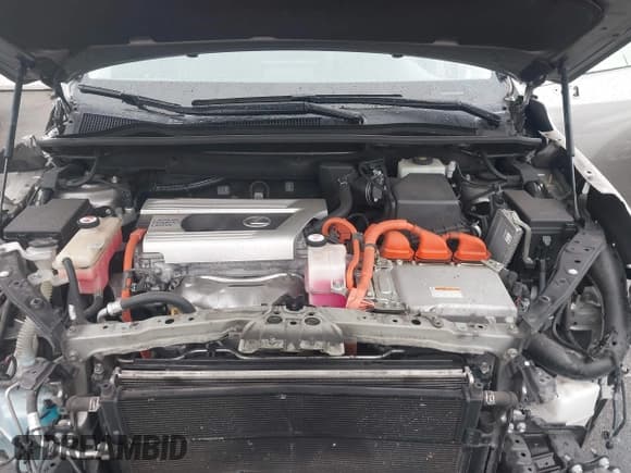 ✅ 2017 Lexus NX 300h • VIN: JTJBJRBZ1H2060033 • Lot: 43714701. Listed on IAAI with 108,430 mi. Free auction sales archive from the USA and detailed vehicle history report at DreamBid. Image 10.