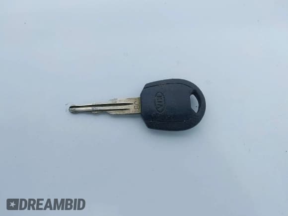 ✅ 2007 Kia Rio LX • VIN: KNADE123676238603 • Lot: 42224014. Wystawiony na IAAI z przebiegiem 187 894 mil. Bezpłatny archiwum sprzedaży aukcyjnych z USA i szczegółowy raport historii pojazdu na DreamBid. Zdjęcie 11.