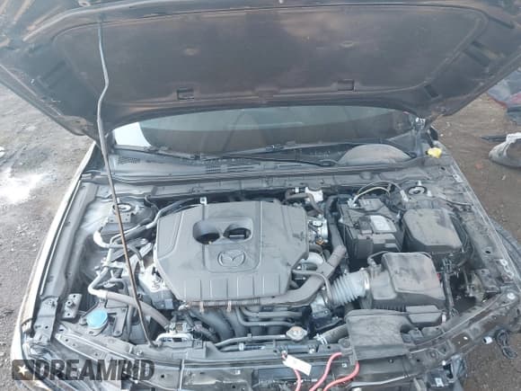 ✅ 2024 Mazda 3 S Select Sport • VIN: 3MZBPABM1RM407827 • Lot: 42999789. Wystawiony na IAAI z przebiegiem 11 257 mil. Bezpłatny archiwum sprzedaży aukcyjnych z USA i szczegółowy raport historii pojazdu na DreamBid. Zdjęcie 10.