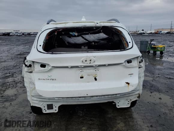 ✅ 2020 Hyundai Santa Fe SEL • VIN: 5NMS3CAD3LH210969 • Lot: 43171894. Wystawiony na Copart z przebiegiem 31 918 mil. Bezpłatny archiwum sprzedaży aukcyjnych z USA i szczegółowy raport historii pojazdu na DreamBid. Zdjęcie 6.