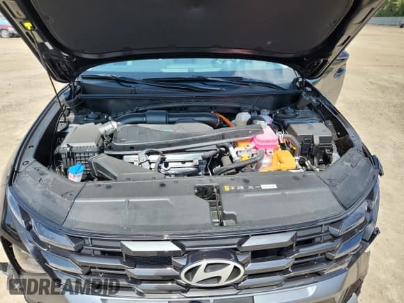 ✅ 2025 Hyundai Tucson SEL Convenience • VIN: KM8JCDD14SU302873 • Lot: 71487805. Wystawiony na Copart z przebiegiem 6 016 mil. Bezpłatny archiwum sprzedaży aukcyjnych z USA i szczegółowy raport historii pojazdu na DreamBid. Zdjęcie 11.