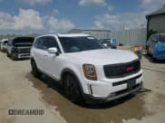 ✅ 2022 Kia Telluride SX • VIN: 5XYP54HC1NG302615 • Lot: 67863665. Wystawiony na Copart z przebiegiem 103 471 mil. Bezpłatny archiwum sprzedaży aukcyjnych z USA i szczegółowy raport historii pojazdu na DreamBid. Zdjęcie 14.