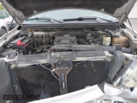 ✅ 2008 Ford F-150 XLT • VIN: 1FTPX14V48FB32449 • Lot: 42345105. Listed on IAAI with 167,793 mi. Free auction sales archive from the USA and detailed vehicle history report at DreamBid. Image 10.