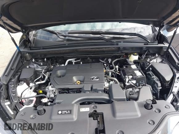 ✅ 2025 Lexus NX 250 Premium • VIN: 2T2GDCAZ1SC023969 • Lot: 41502796. Listed on IAAI with 747 mi. Free auction sales archive from the USA and detailed vehicle history report at DreamBid. Image 10.