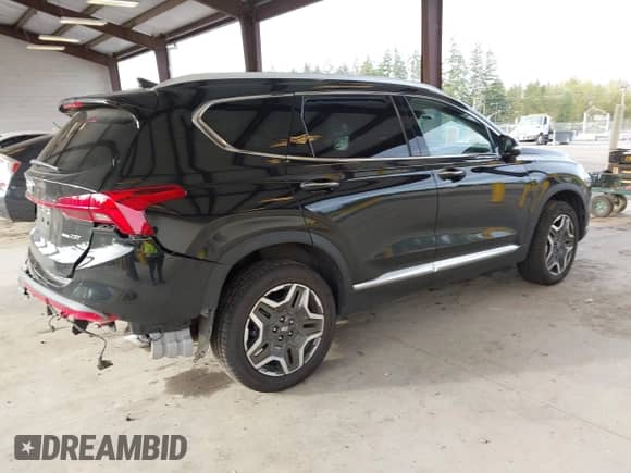 2022 Hyundai Santa Fe Limited with VIN 5NMS4DAL2NH477856, listed as a IAAI auction lot 43359399 with 46,650 mi miles and . Bid and sale history available at DreamBid. Image 4.