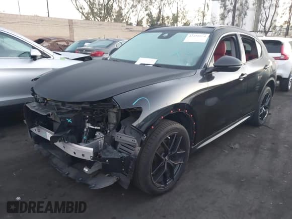 ✅ 2020 Alfa Romeo Stelvio Sport • VIN: ZASPAJAN9L7C95503 • Lot: 43492254. Wystawiony na IAAI z przebiegiem 29 352 mil. Bezpłatny archiwum sprzedaży aukcyjnych z USA i szczegółowy raport historii pojazdu na DreamBid. Zdjęcie 2.