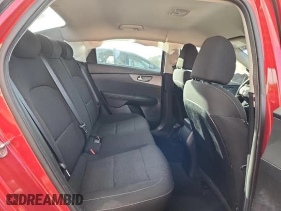 ✅ 2019 Kia Forte LXS • VIN: 3KPF24AD0KE048900 • Lot: 85651535. Listed on Copart with 88,511 mi. Free auction sales archive from the USA and detailed vehicle history report at DreamBid. Image 10.