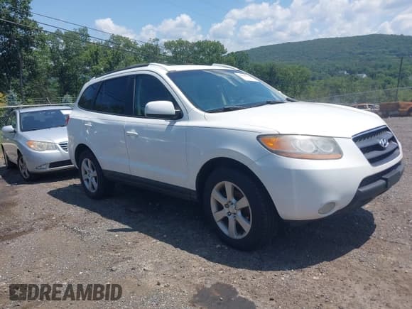 ✅ 2008 Hyundai Santa Fe SE • VIN: 5NMSH73E08H207954 • Lot: 42844761. Wystawiony na IAAI z przebiegiem 293 523 mil. Bezpłatny archiwum sprzedaży aukcyjnych z USA i szczegółowy raport historii pojazdu na DreamBid. Zdjęcie 1.