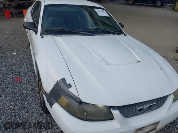 ✅ 2003 Ford Mustang Standard • VIN: 1FAFP404X3F374199 • Lot: 42156866. Listed on IAAI with 224,102 mi. Free auction sales archive from the USA and detailed vehicle history report at DreamBid. Image 6.