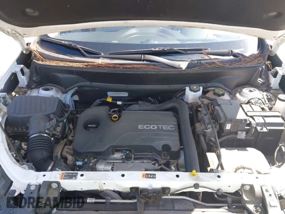 ✅ 2020 Chevrolet Equinox LT • VIN: 2GNAXTEV8L6230376 • Lot: 43456528. Listed on IAAI with 56,920 mi. Free auction sales archive from the USA and detailed vehicle history report at DreamBid. Image 10.