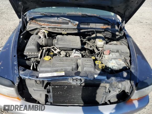 ✅ 2003 Dodge Dakota SLT • VIN: 1D7HL48N03S299182 • Lot: 53520675. Wystawiony na Copart z przebiegiem Nie podano. Bezpłatny archiwum sprzedaży aukcyjnych z USA i szczegółowy raport historii pojazdu na DreamBid. Zdjęcie 11.