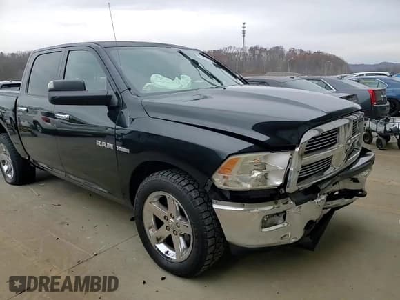 ✅ 2010 Dodge 1500 SLT • VIN: 1D7RV1CT9AS103336 • Lot: 82441994. Wystawiony na Copart z przebiegiem 187 375 mil. Bezpłatny archiwum sprzedaży aukcyjnych z USA i szczegółowy raport historii pojazdu na DreamBid. Zdjęcie 11.