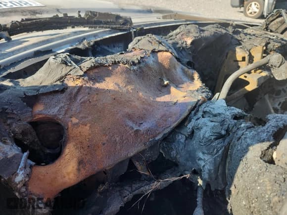 ✅ 2008 Ford Ranger XL • VIN: 1FTYR10U28PB14411 • Лот: 80358445. Опубликован ранее на Copart с пробегом Не указан. Бесплатный доступ к архиву аукционных продаж из США и подробный отчёт об истории автомобиля на DreamBid. Изображение 9.