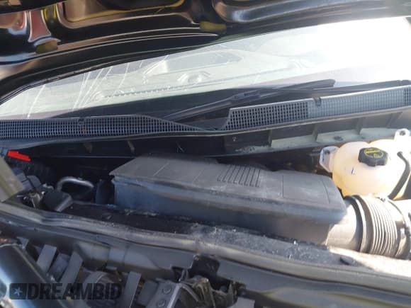 ✅ 2024 Chevrolet Silverado 1500 • VIN: 3GCUD4ED0RG412033 • Лот: 42533107. Опубликован ранее на IAAI с пробегом 4 258 миль. Бесплатный доступ к архиву аукционных продаж из США и подробный отчёт об истории автомобиля на DreamBid. Изображение 10.