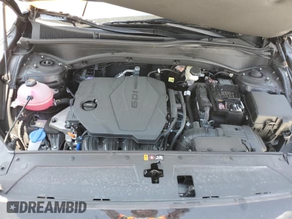 ✅ 2023 Hyundai Santa Fe XRT • VIN: 5NMS64AJ0PH530422 • Lot: 50346213. Wystawiony na Copart z przebiegiem 3 924 mil. Bezpłatny archiwum sprzedaży aukcyjnych z USA i szczegółowy raport historii pojazdu na DreamBid. Zdjęcie 12.