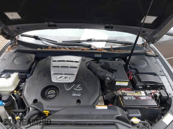 2006 Hyundai Azera SE с VIN KMHFC46F56A089678, выставлен на аукционе IAAI как лот 42449327 с пробегом 97 475 миль миль и . История ставок и продаж доступна на DreamBid. Изображение 10.