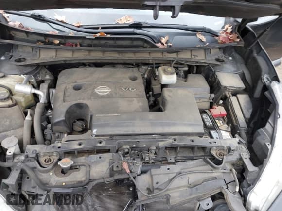 ✅ 2015 Nissan Murano Platinum • VIN: 5N1AZ2MH5FN241307 • Lot: 43522649. Listed on IAAI with 166,866 mi. Free auction sales archive from the USA and detailed vehicle history report at DreamBid. Image 10.