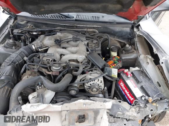 ✅ 2003 Ford Mustang Standard • VIN: 1FAFP40473F383331 • Lot: 42128521. Listed on IAAI with 226,165 mi. Free auction sales archive from the USA and detailed vehicle history report at DreamBid. Image 10.