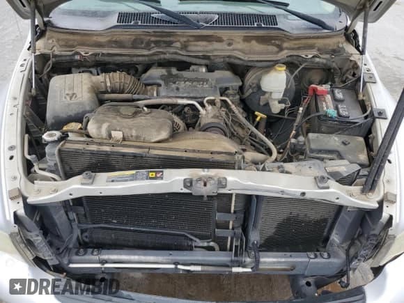 ✅ 2004 Dodge 1500 SLT • VIN: 1D7HU16D44J273262 • Лот: 51443344. Опубликован ранее на Copart с пробегом 125 560 миль. Бесплатный доступ к архиву аукционных продаж из США и подробный отчёт об истории автомобиля на DreamBid. Изображение 12.