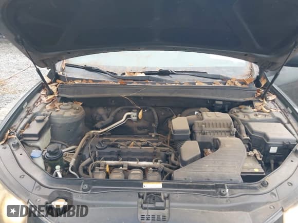 ✅ 2010 Hyundai Santa Fe GLS • VIN: 5NMSG3ABXAH340117 • Лот: 43827603. Опубликован ранее на IAAI с пробегом 193 766 миль. Бесплатный доступ к архиву аукционных продаж из США и подробный отчёт об истории автомобиля на DreamBid. Изображение 10.