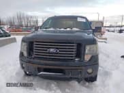 ✅ 2012 Ford F-150 XL • VIN: 1FTFX1ET2CFB52040 • Lot: 43841857. Listed on IAAI with 319,360 mi. Free auction sales archive from the USA and detailed vehicle history report at DreamBid. Image 13.