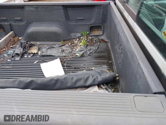 ✅ 1998 Ford F-150 • VIN: 1FTYF17W0WNC12927 • Lot: 42621641. Listed on IAAI with 251,079 mi. Free auction sales archive from the USA and detailed vehicle history report at DreamBid. Image 8.