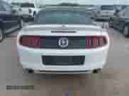 2014 Ford Mustang V6 с VIN 1ZVBP8EM6E5320297, выставлен на аукционе IAAI как лот 43146690 с пробегом 160 174 миль миль и . История ставок и продаж доступна на DreamBid. Изображение 17.