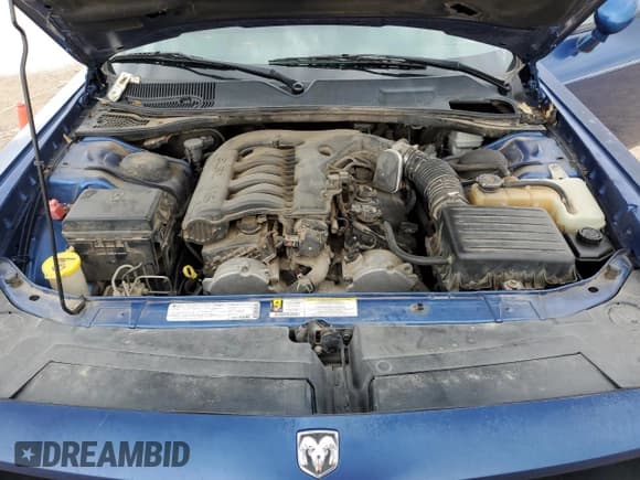 ✅ 2010 Dodge Challenger SE • VIN: 2B3CJ4DV5AH120267 • Lot: 81312154. Wystawiony na Copart z przebiegiem 162 245 mil. Bezpłatny archiwum sprzedaży aukcyjnych z USA i szczegółowy raport historii pojazdu na DreamBid. Zdjęcie 11.